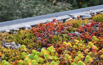 the cost of Hemel Hempstead green roof installation