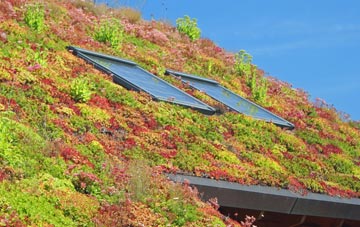 Hemel Hempstead living roof systems